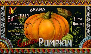 Butterfly Golden Pumpkin Produktetikette af American School