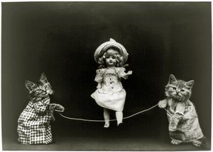 Cat curiousity, 1891 af American School