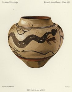 Ceremoniel vase (farve litho) af American School