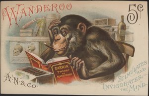 Charles Darwin, teori om udvikling (dvs. evolution) af American School