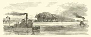 Konfødereret transport, der bringer kvæg til Vicksburg, februar 1863