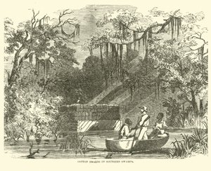 Bomuldsskatte i Southern Swamps, juli 1862 af American School