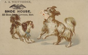 Hund holder brev i munden af American School