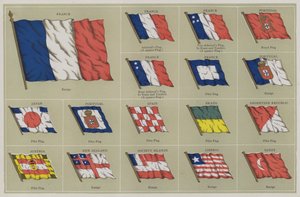 Flag af American School