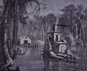 Florida Everglades scene af American School