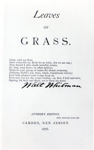 Frontispice til Leaves of Grass af Walt Whitman (1819-92), pub. i 1876 af American School