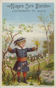 Pige, der holder bundt med blomster på landet af American School