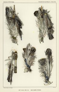 Ha-Cha-Mo-Ni with plumes attached af American School