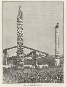 Haida Totem Post af American School