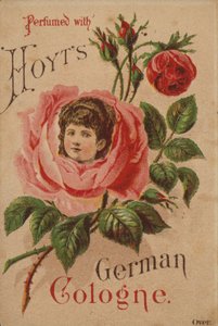 Hoyts tyske Köln af American School