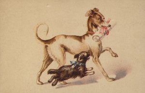 Stor og lille hund der løber af American School