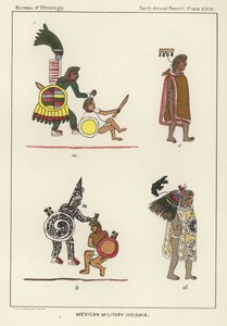 Mexicanske militære insignier af American School