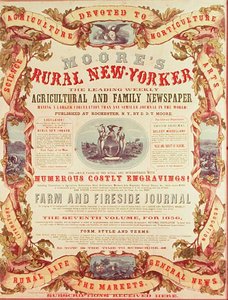 Moores landlige New-Yorker af American School