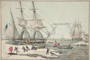 North Sea Whale Fishery, pub. 1860 (farve litho) af American School
