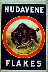 Nudavene flager af American School
