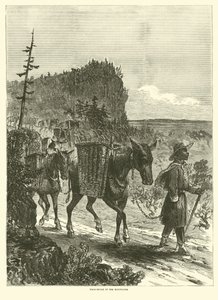 Pak-muldyr i bjergene, februar 1863 af American School