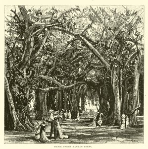 Picnic under banyantræer af American School