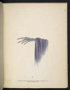 Plade 8. En skelethånd.  Spectropia; eller, Overraskende spektrale illusioner, der viser spøgelser overalt og af enhver farve osv. ser. 1.  J.H. Brun  1864 af American School