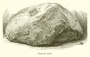 Plymouth Rock af American School