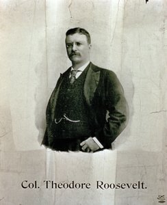 Portræt af oberst Theodore Roosevelt af American School
