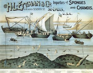 Plakatreklame H.L. Ettman & Co., Importører af svampe og vaskeskind, 1897