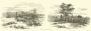 Scener på banen efter slaget, september 1862 af American School