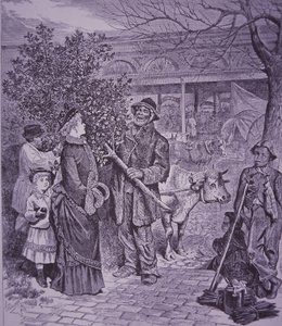 Sælger juletræer i Richmond, Virginia af American School