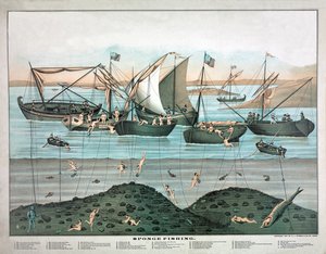 Svampefiskeri, pub. 1897 (farvelitografi) af American School