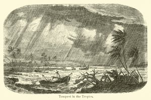 Storm i troperne af American School