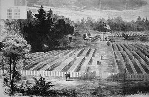 Gravpladsen ved Krigsfangelejren i Andersonville (litho) af American School