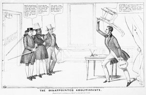 De skuffede abolitionister af American School