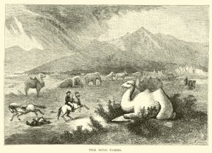 Ming-gravene af American School