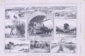 Sukkerindustrien i Louisiana af American School