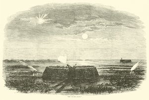 Sumpengel, august 1863 af American School