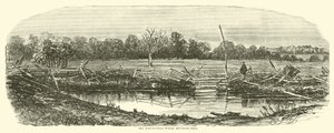 Hvedemarken, hvor Reynolds faldt, juli 1863 af American School