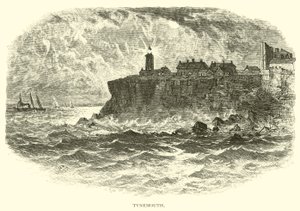 Tynemouth af American School