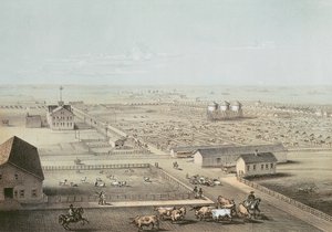 Union Stockyards, Chicago af American School