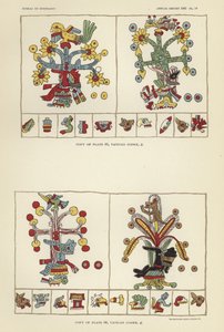 Vatikanets Codex af American School