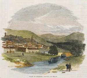 Udsigt over Houston, hovedstaden i Texas, ca. 1852 (håndfarvet trægravering) af American School