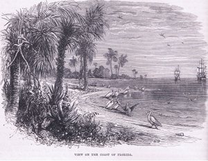 Udsigt over Floridas kyst, illustration fra Cassell