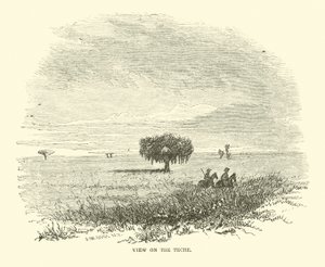 Udsigt på Teche, april 1863 af American School