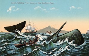 Hvalfangere, der harpunerer en kaskelothval ud for New Bedford, Massachusetts af American School