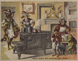 Hvad siger hr. Darwin nu? (chromolitho) af American School