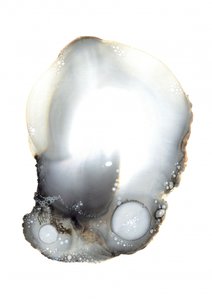 Eksempel XI af Amy Louise Baker