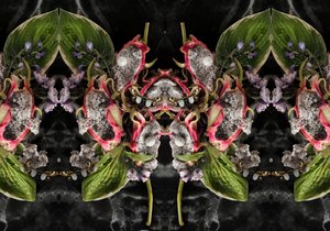 af Ana Carolina Tavares Mizrahi