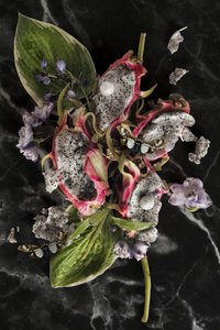  af Ana Carolina Tavares Mizrahi