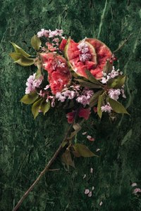 Eve_09, 2016 (Fotografi) af Ana Carolina Tavares Mizrahi