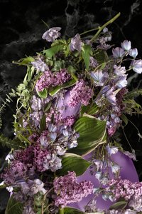  af Ana Carolina Tavares Mizrahi
