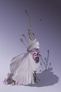  af Ana Carolina Tavares Mizrahi
