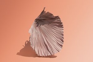  af Ana Carolina Tavares Mizrahi